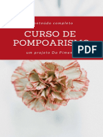 Curso de pompoarismo completo