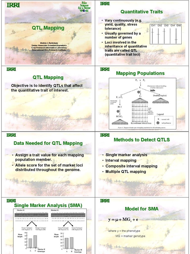 QTL Mapping Techniques Overview | PDF | Quantitative Trait Locus ...