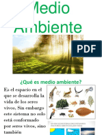 Medio Ambiente 