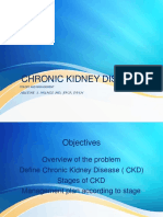 Chronic Kidney Disease Stages