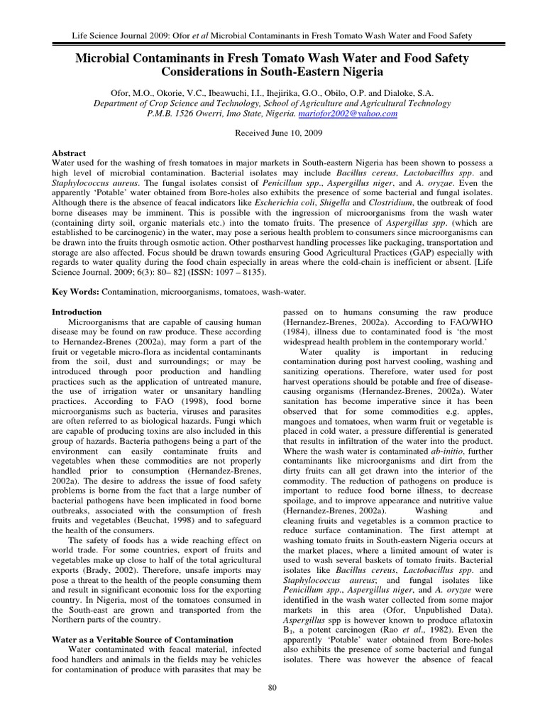 Microbial Contamination in Tomato Wash Water | PDF | Food Safety | Foods