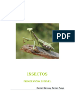 Insectos.pdf