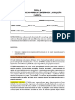 Tarea 3 Análisis Del Medio Ambiente Externo de La Pequeña Empresa