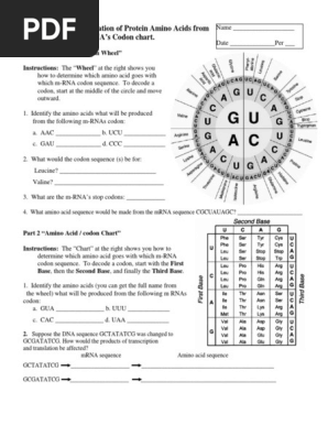 Codon Ws Pdf