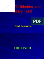 Liver, Gallbladder, and Biliary Tract: Troef Soemarno