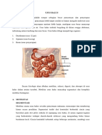 Fisiologi Manusia Dari Sel Ke Sistem - Usus Besar