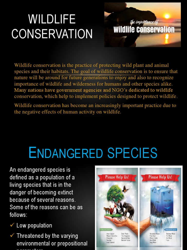 Importance of Wildlife Conservation | PDF | Whales | Marine Mammals