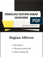 Fisiologi Sistem Saraf Sensorik