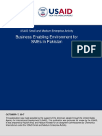 Business Enabling Environment For SMEs in Pakistan