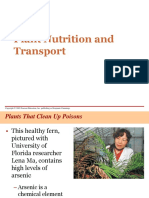 12 - Nutrisi Tanaman Dan Transport