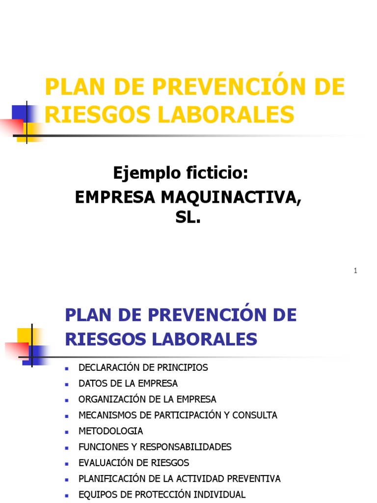 Plan de Prevención de Riesgos Laborales PDF Planificación Derecho