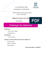 PFE PATHOLOGIE DES BATIMENTS Karab & Ait Si Youssef PDF