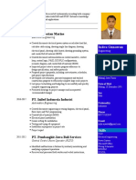 1 Curriculum Vitae - Indra Gunawan