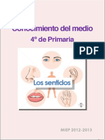 Libro de Los Sentidos 2013 PDF
