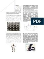 Desarrollo Tecnologico.