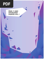 Or 1a Padrao Soc Volume 1 Prof Wp 20 Pgs