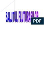 SALUT.doc