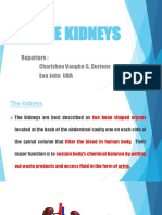 The Kidneys: Reporters: Charlzhen Vaughn G. Duriens Eon John UBA