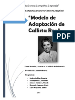 Modelo de Adaptacion