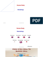 Human Body: Hematology