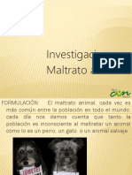 Maltrato Animal 2