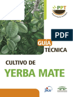 Produccion Yerba Mate