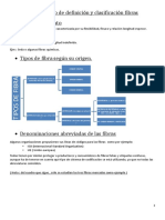 Esquema de Estudio de Archivo Definición y Clasificacion Fibras PDF
