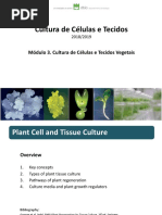 Technologies in Plant Biotechnology and Breeding of Field Crops
