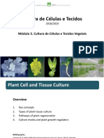 Plant Cell Culture Techniques Guide