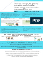 Infografia Diplomado Seguridad Social