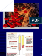 Kύτταρα Αίματος-λεμφικός Ιστός