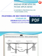 Socavacion en Estribos y Pilares