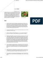 569 Edible Plant Tests