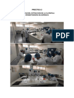 Práctica 2: Observacion, Extraccion de La Clorofila Cromatografia de Espinaca Laboratorio