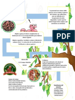 INFOGRAFIA