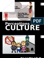 Perceptions of Culture