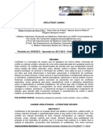 UROLITIASE.pdf