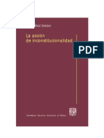 JOAQUIN BRAGUE CAMAZO - La Accion de Inconstitucionalidad 1 Caratula e Indice PDF