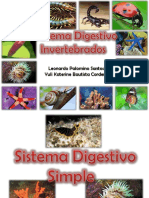 presentacininvertebradosprcticahd-130417130831-phpapp01