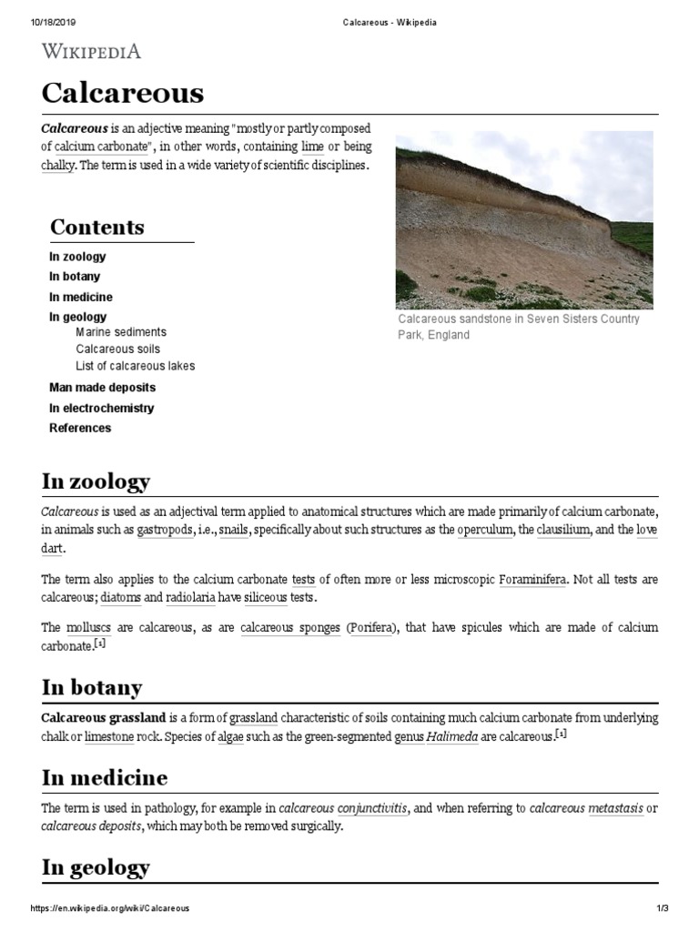 Calcareous - Wikipedia | PDF | Natural Materials | Rocks