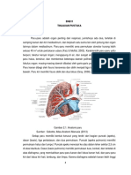 Paru Tuberkulosis