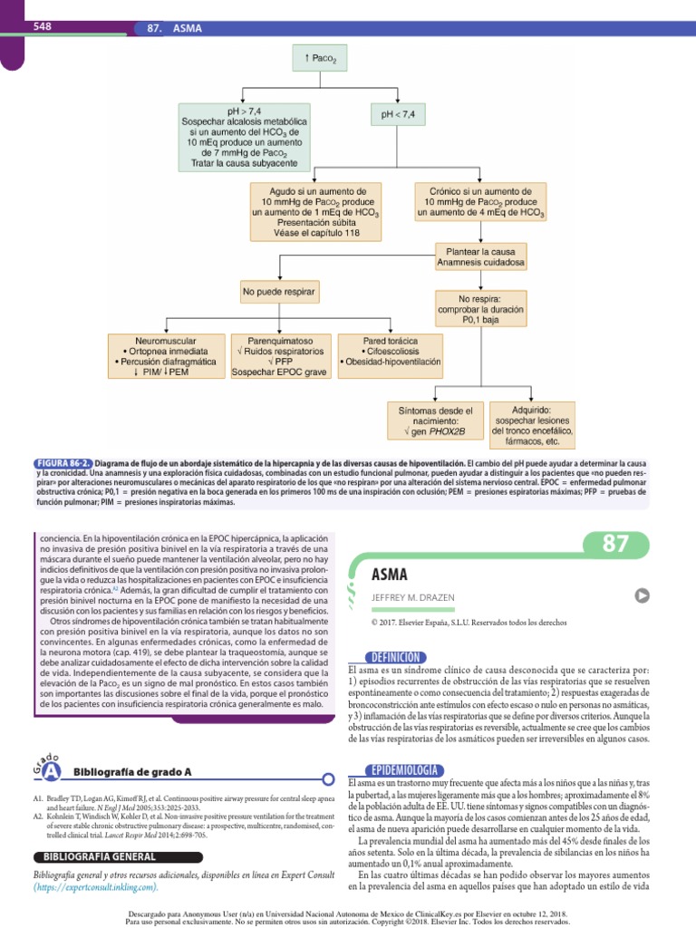 Asma 2 | PDF | Asma | Sistema respiratorio