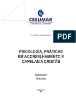 PSICOLOGIA PRÁTICAS EM ACONSELHAMENTO E CAPELANIA CRISTA.pdf