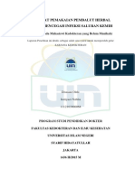 Jurnal Papermint PDF