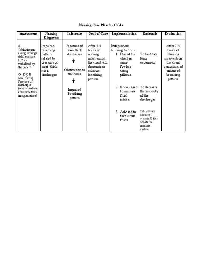 Nursing Care Plan For Colds PDF Diseases And Disorders Medical