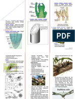 rJaringan Tumbuhan.pdf