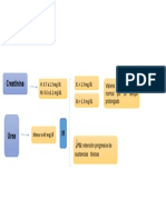 Urea y Creatinina
