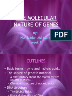 The Molecular Nature of Genes - DNA Structure and Genes