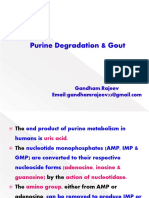 Degradation of Purine PDF