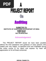 Project On Auditing